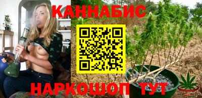 индика Ирбит