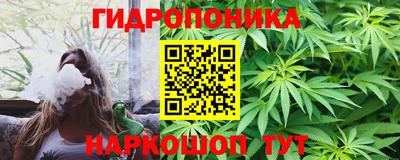 индика Ирбит