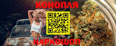 индика Ирбит